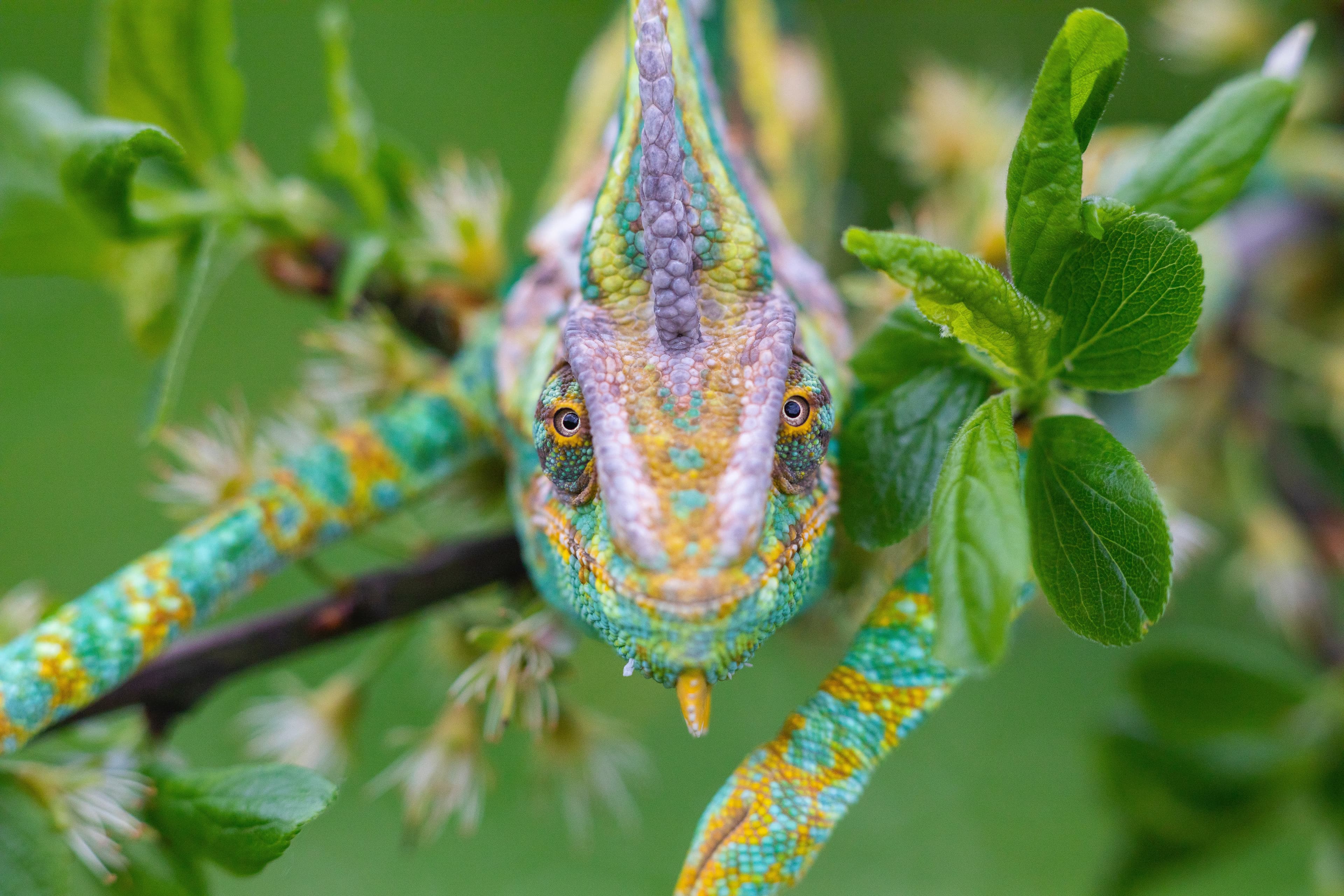 Code Smell 101 - Comparison Against Booleans