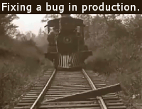 Stop Calling them ‘Bugs’